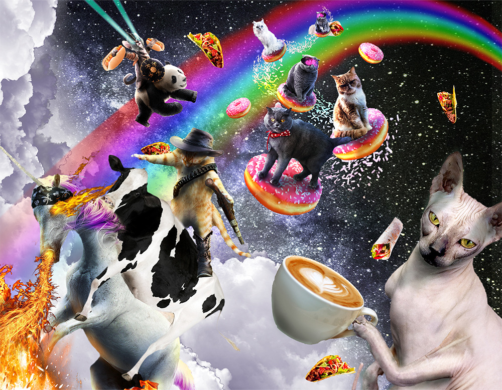 November – Space Cat Calendar