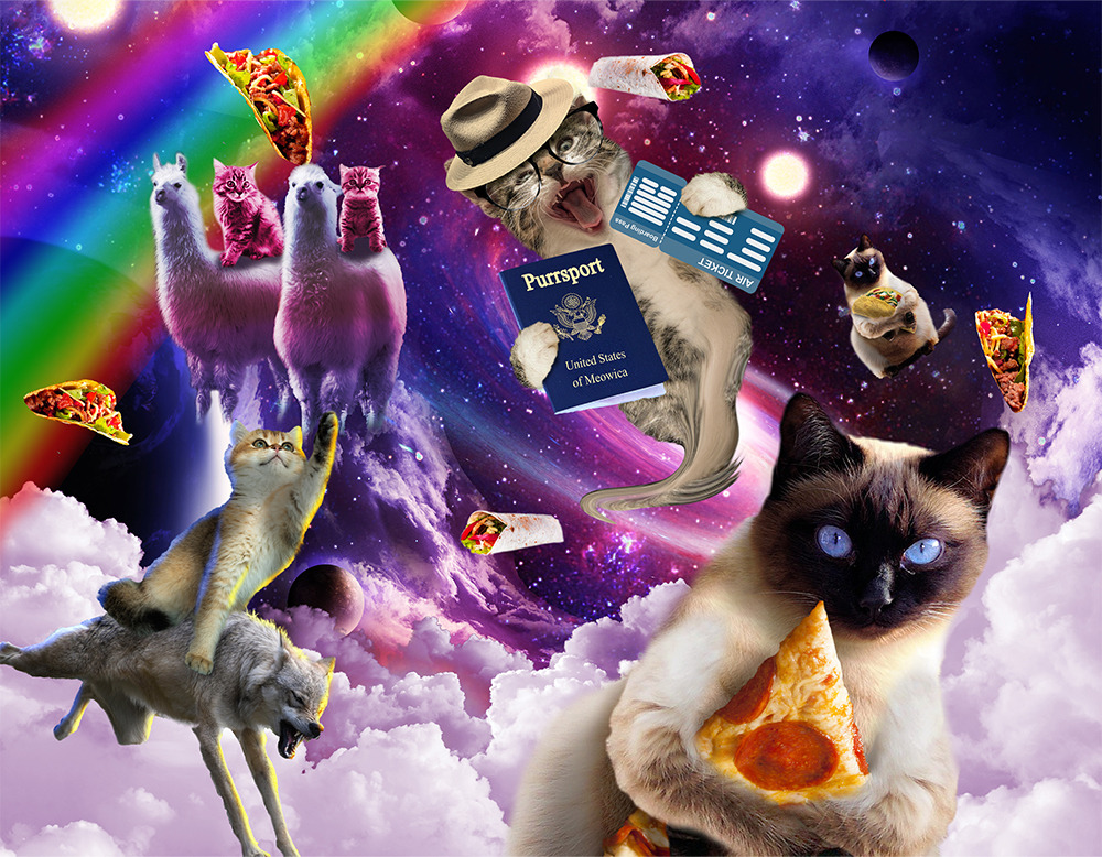 September – Space Cat Calendar