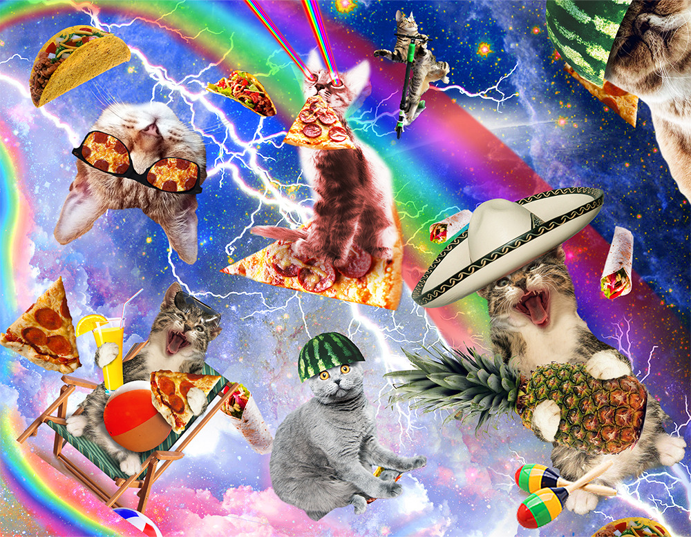 July – Space Cat Calendar