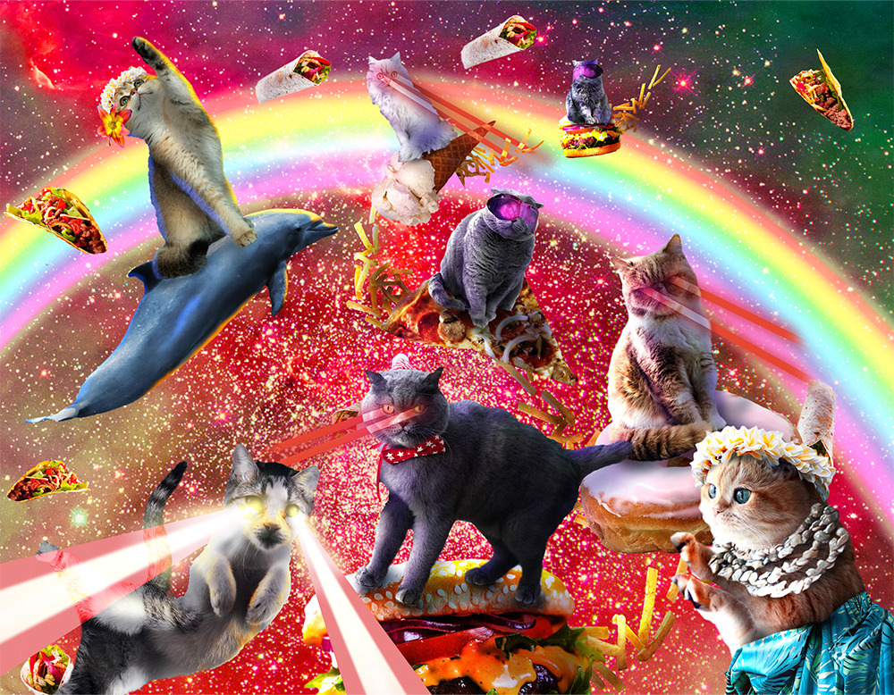 June – Space Cat Calendar