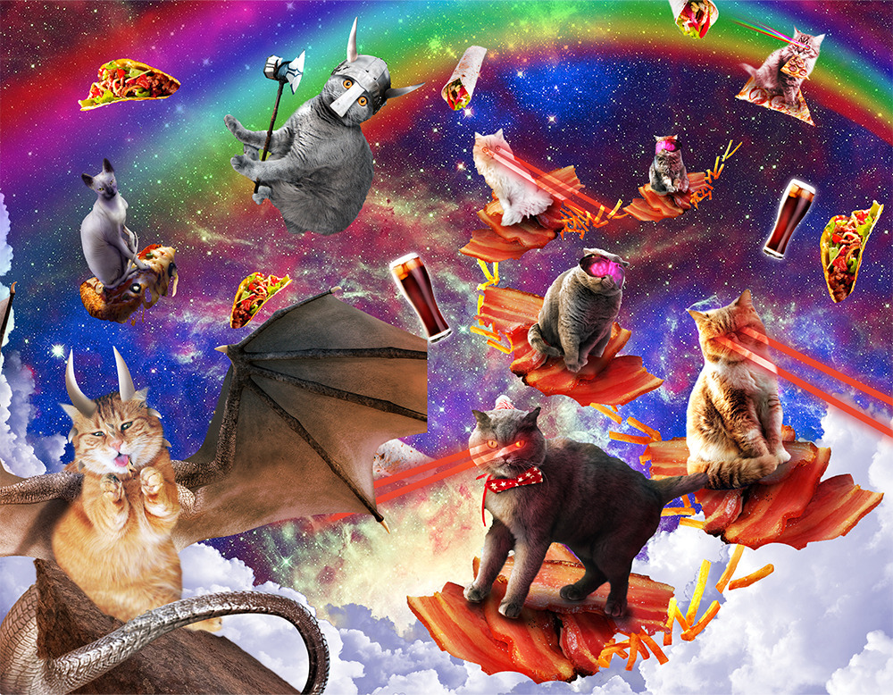 February – Space Cat Calendar