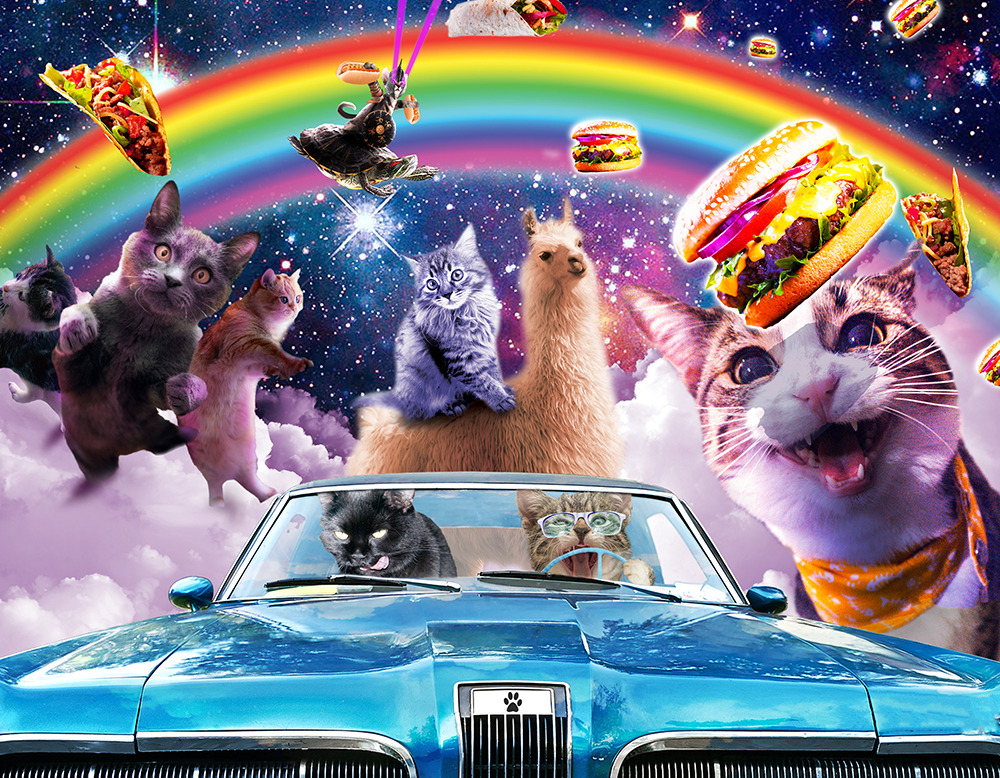 January – Space Cat Calendar