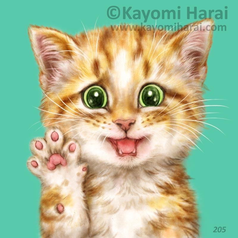 205 of 365