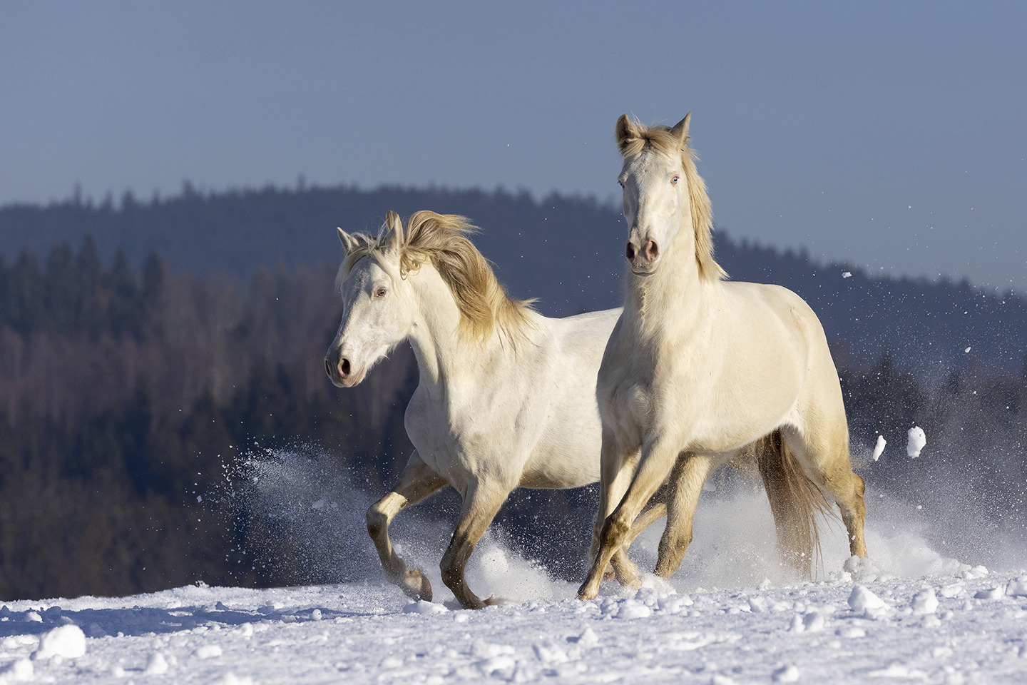 Winter Spirits