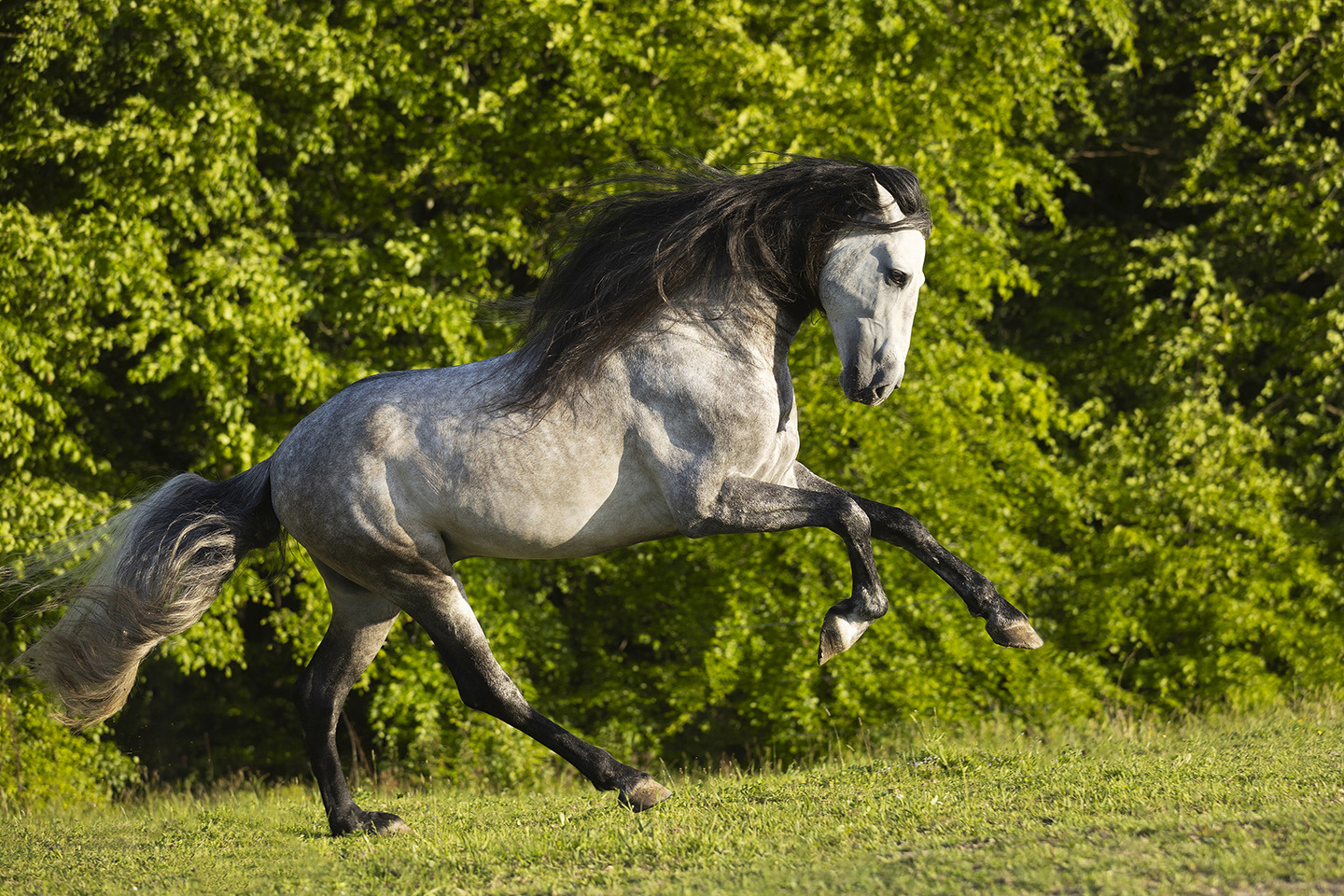 Poetry in Motion