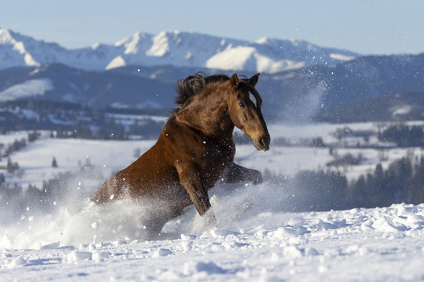 A Rush of Freedom