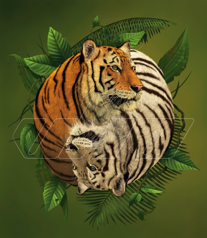 Tiger Yin Yang