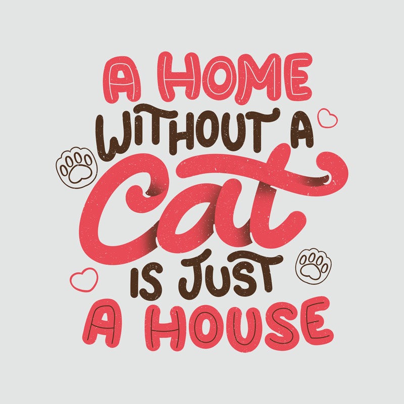 A Home Without a Cat is Just a House