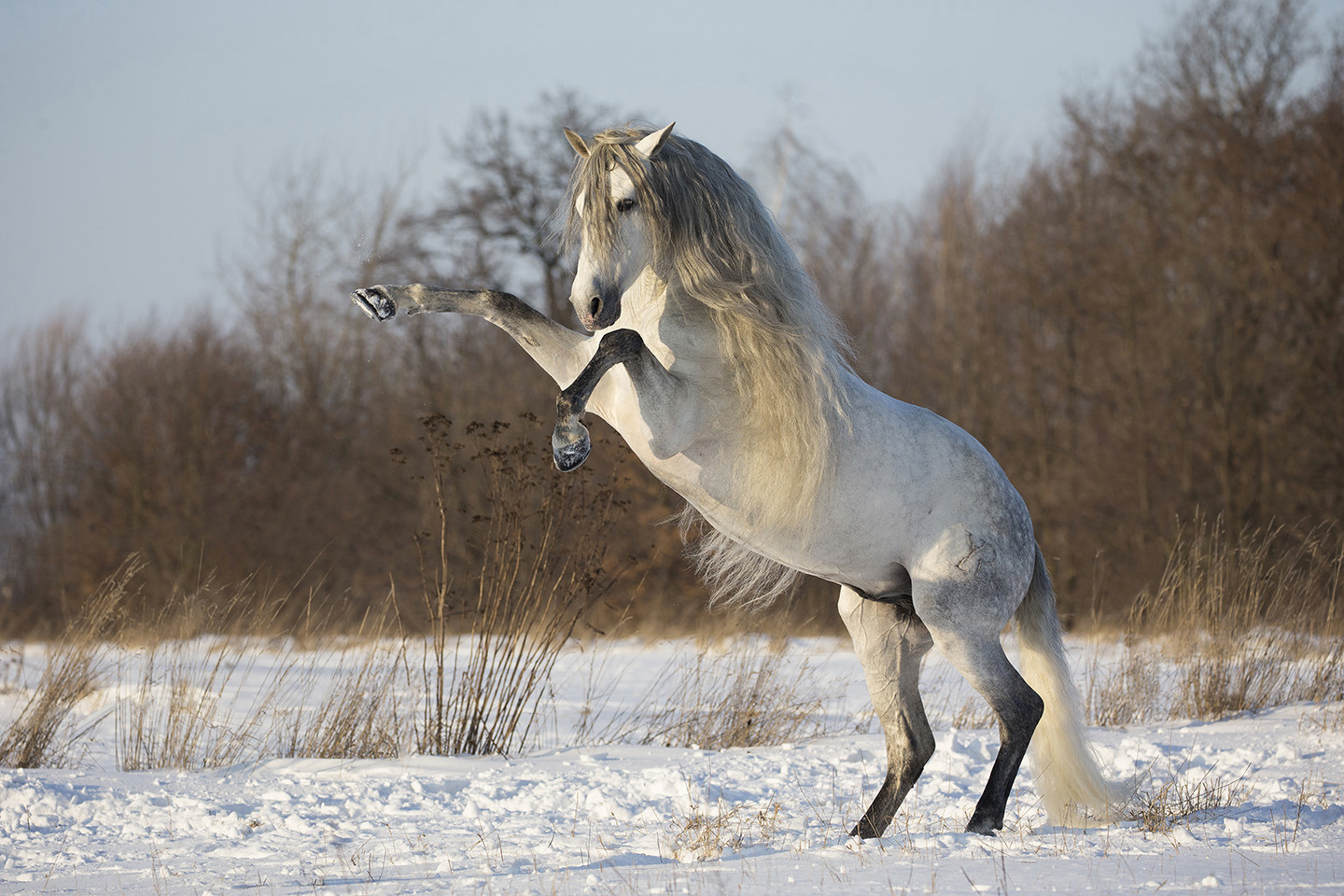 Dancing on AIr