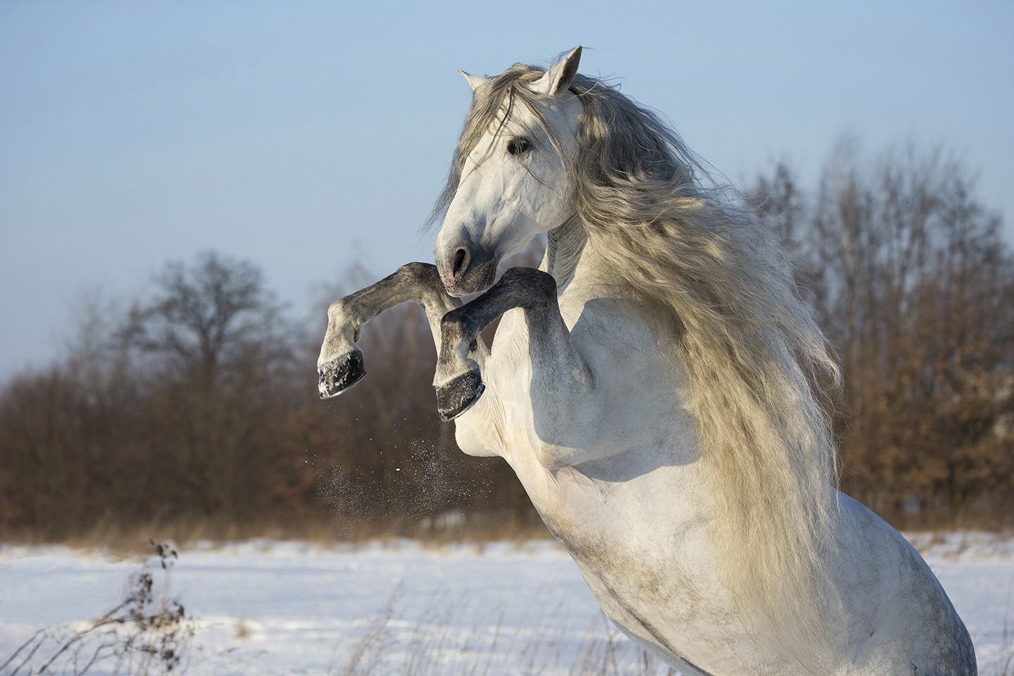 The Grace of Power