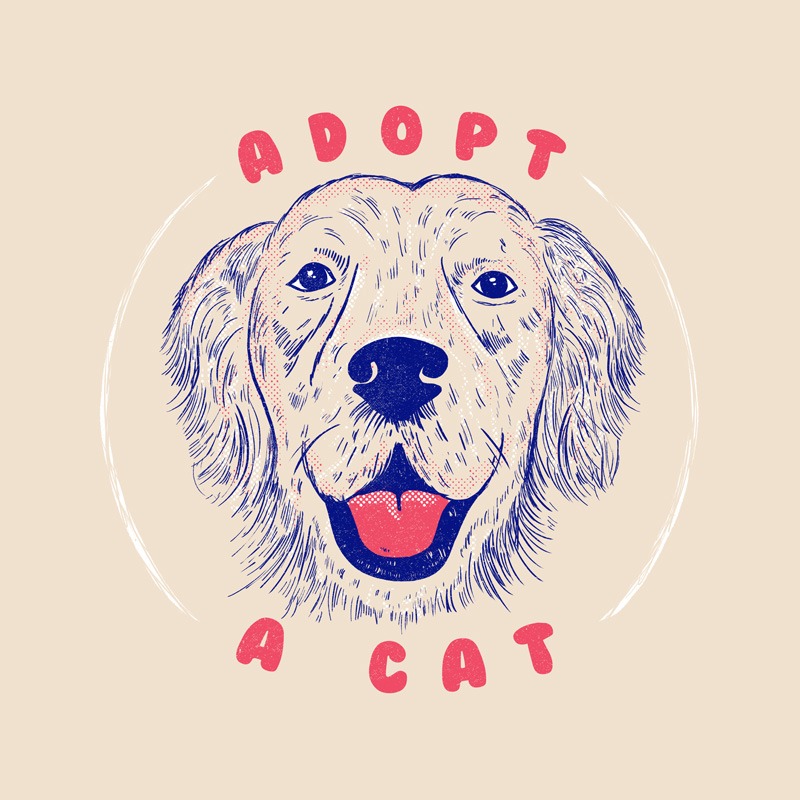 Adopt a Cat