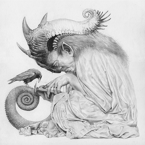 If Beauty Were a Book