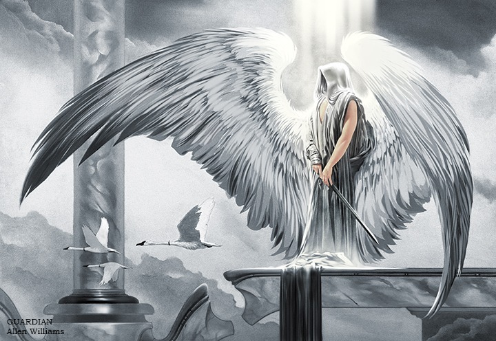 Guardian Black & White