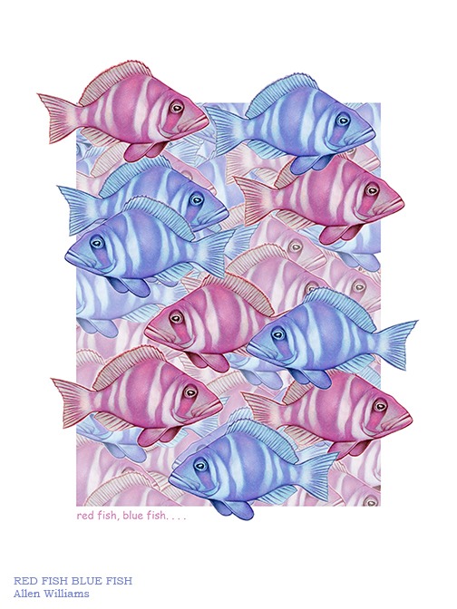 Red Fish Blue Fish