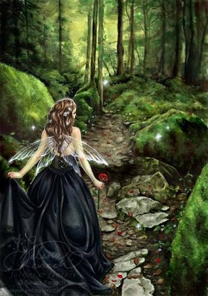 Along The Forest Path