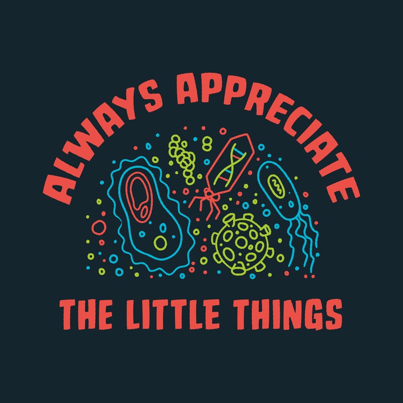 Always Appreciate The Little Things