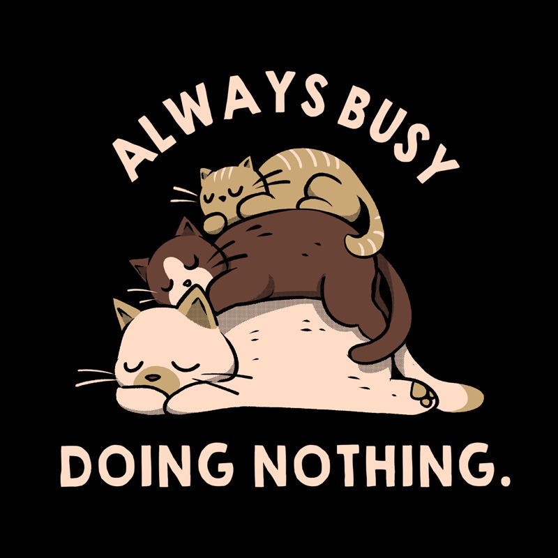 Always Busy Doing Nothing Cats