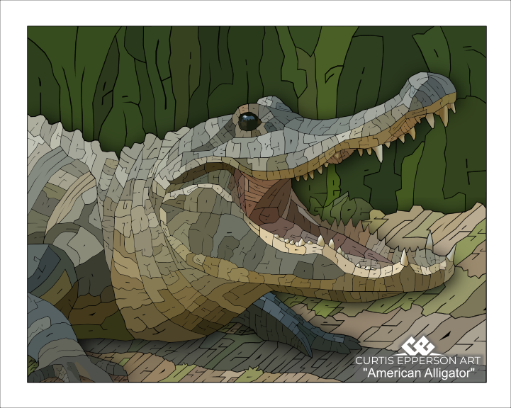 The American Alligator