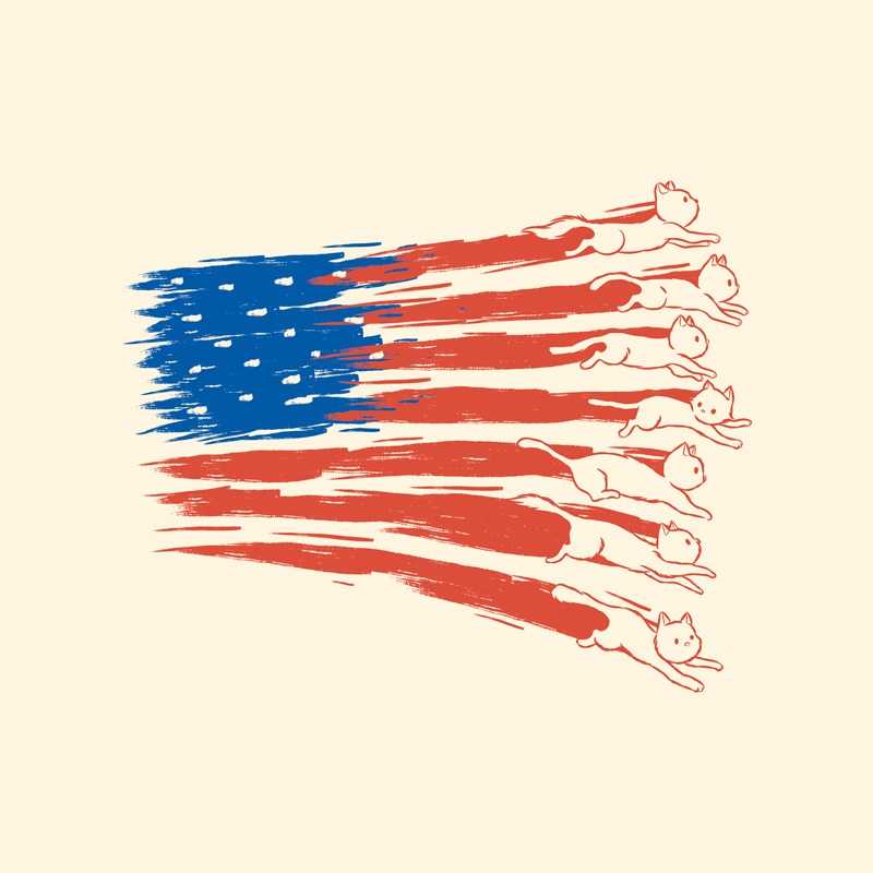 American Flag Cats