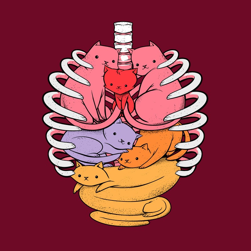 Anatomicat
