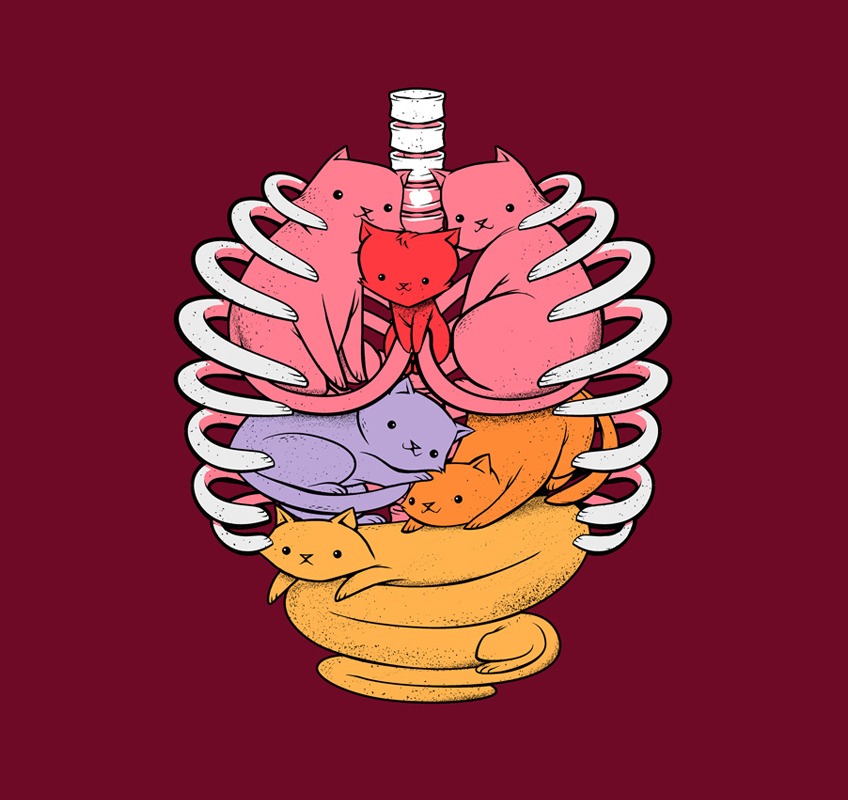 Anatomicat Cat Heart