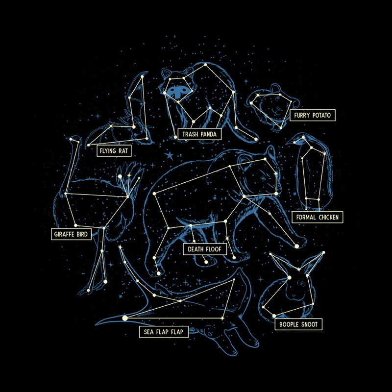 Animals Of The World Constellations
