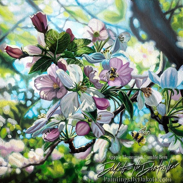 Apple Blossoms and Bumble Bees