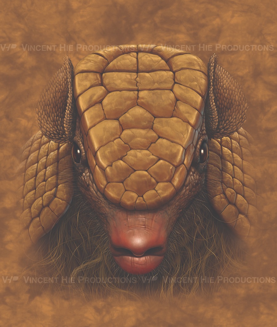 Armadillo Big Face