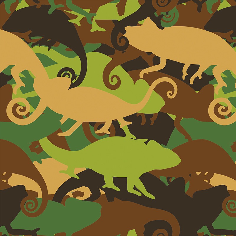 Armed Chameleon US Army