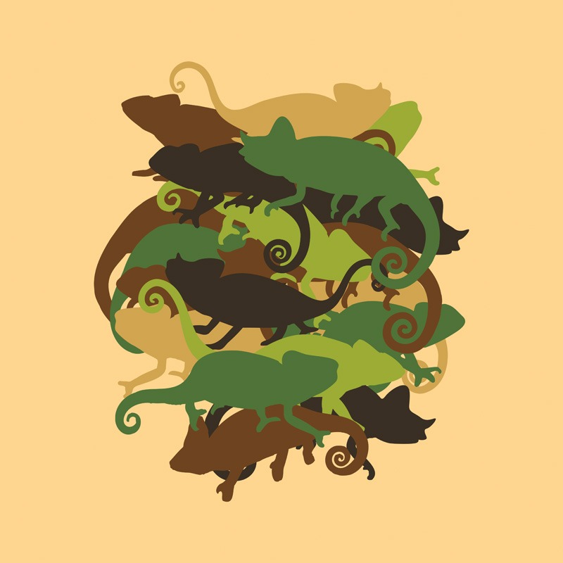 Armed Chameleon US Army