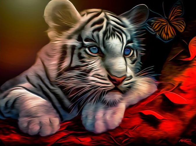 Blue Eye Dreaming Butterfly