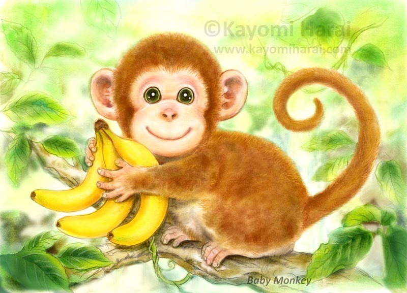 Baby Monkey