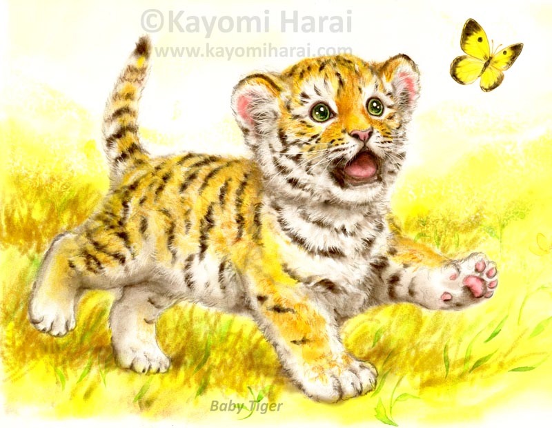 Baby Tiger