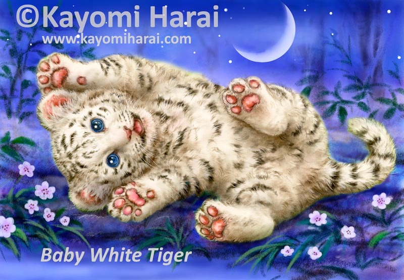 Baby White Tiger