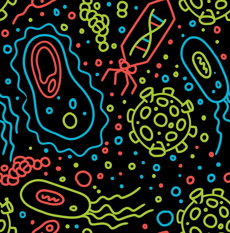 Bacterial Cells and Viruses Pattern