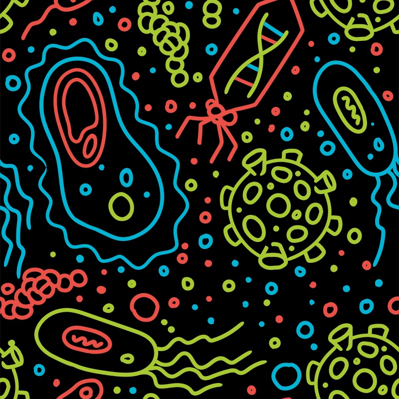 Bacterial Cells and Viruses Pattern