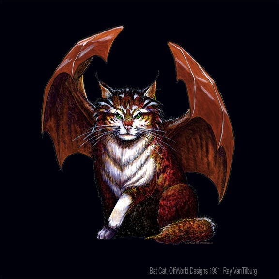 Bat Cat