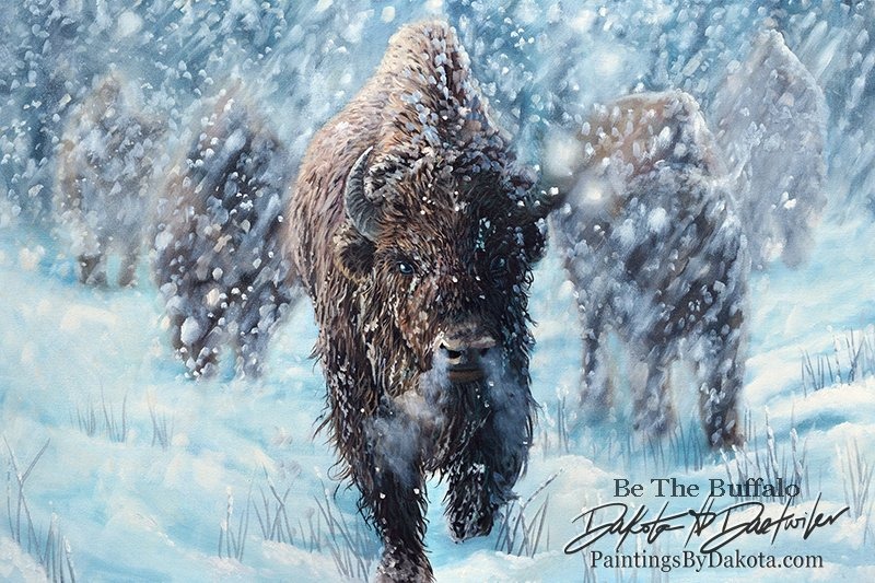 Be the Buffalo
