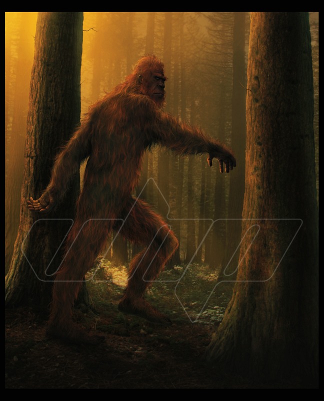 Sasquatch