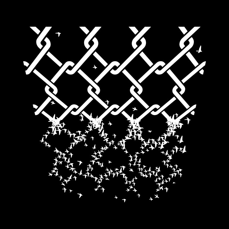 Bird Fence Minimalist