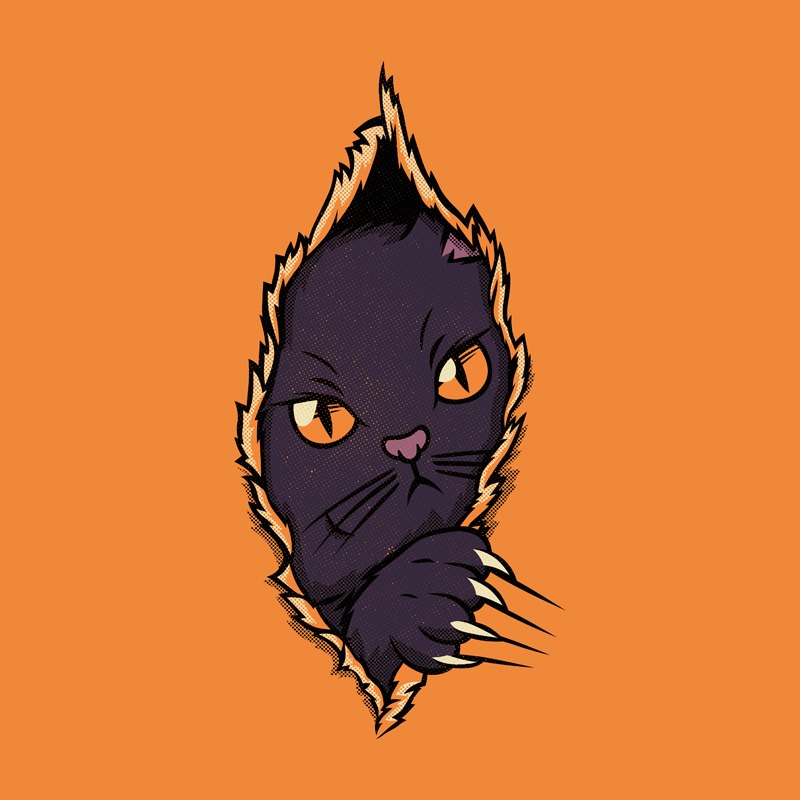 Black Cat Inside Halloween