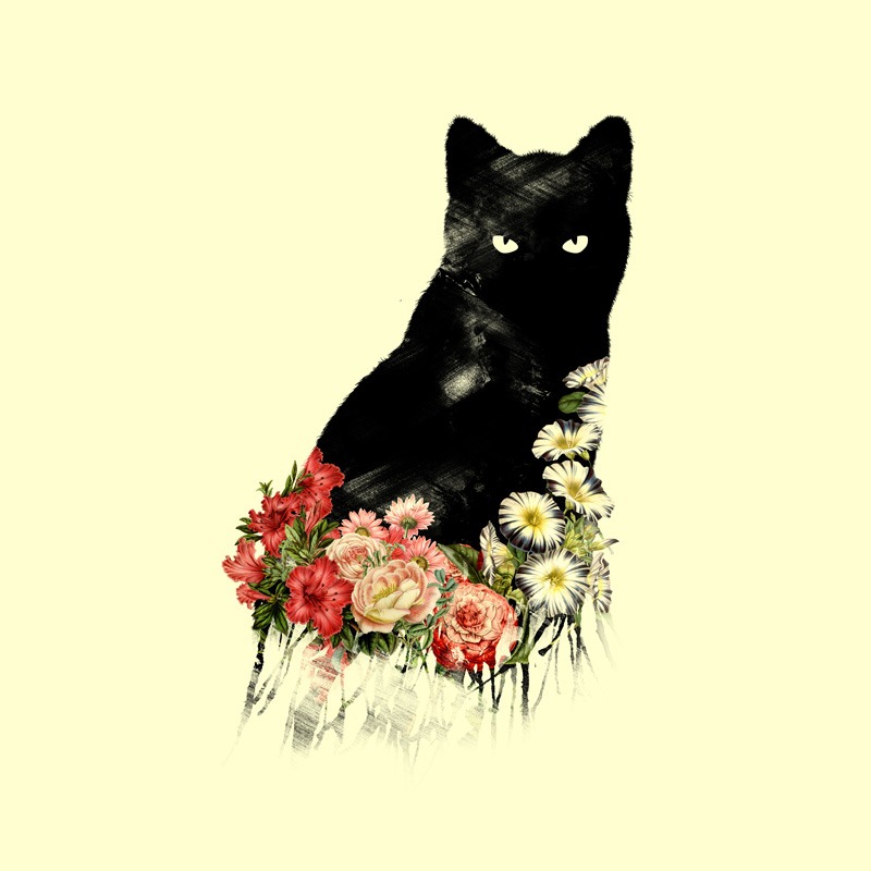 Black Cat Vintage Flower Good Luck