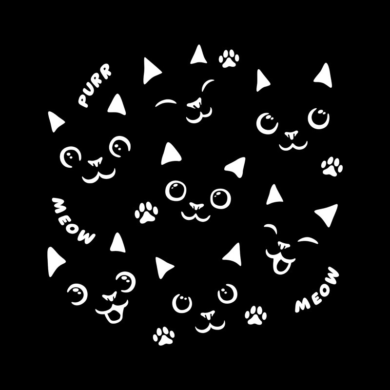 Black Cats In a Black Shirt
