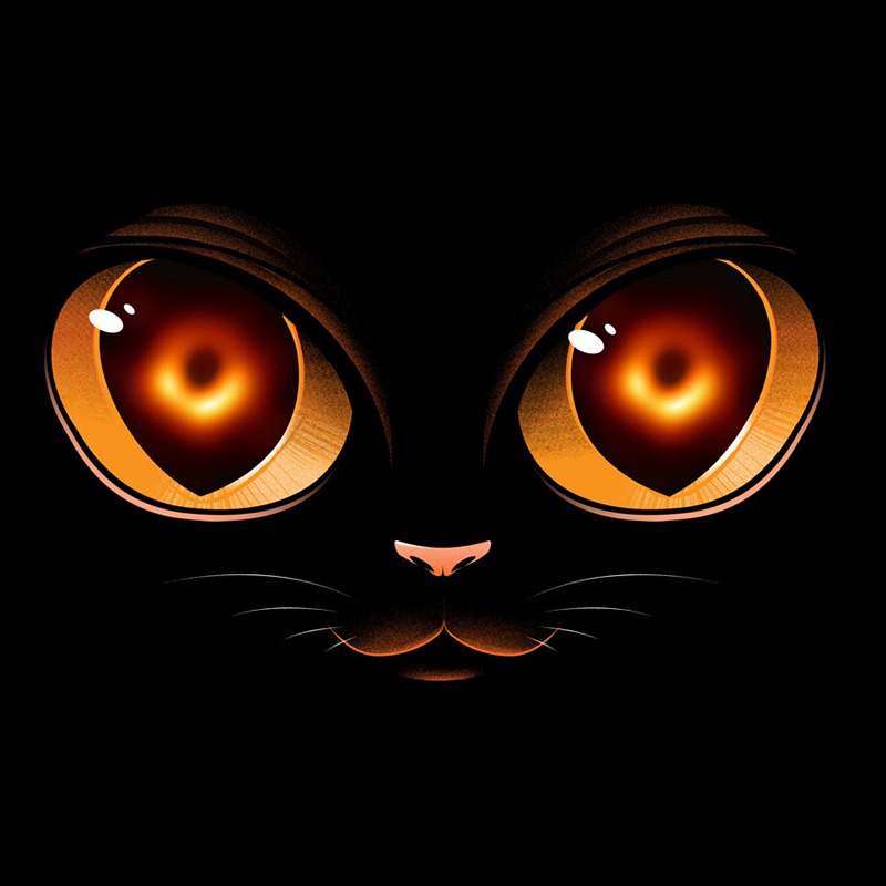 Black Hole T-shirt Cat