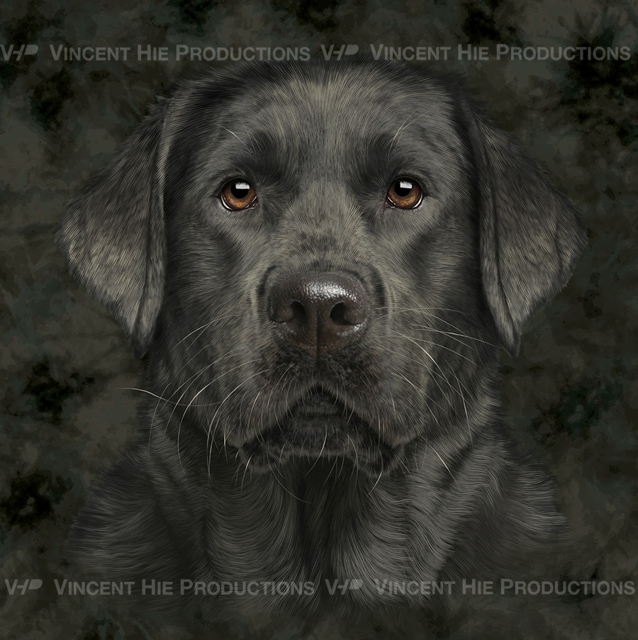 Black Labrador 2 Big Face