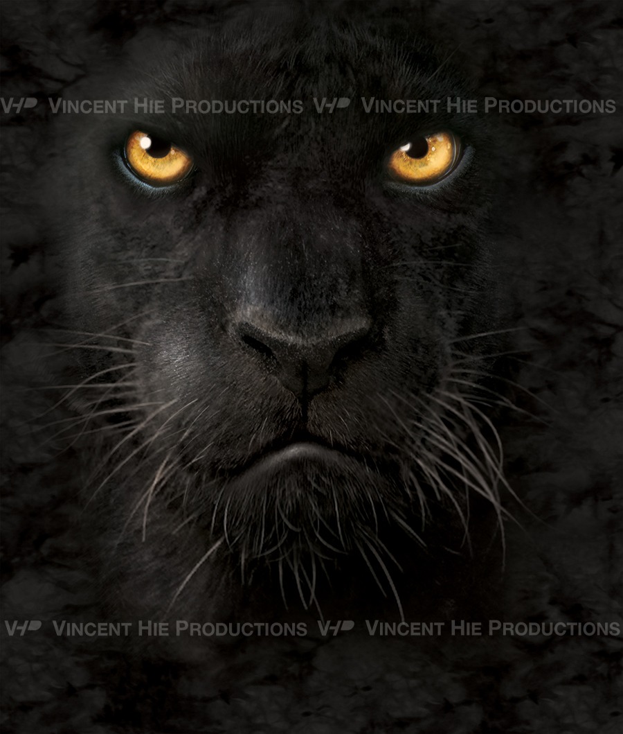 Black Panther Big Face