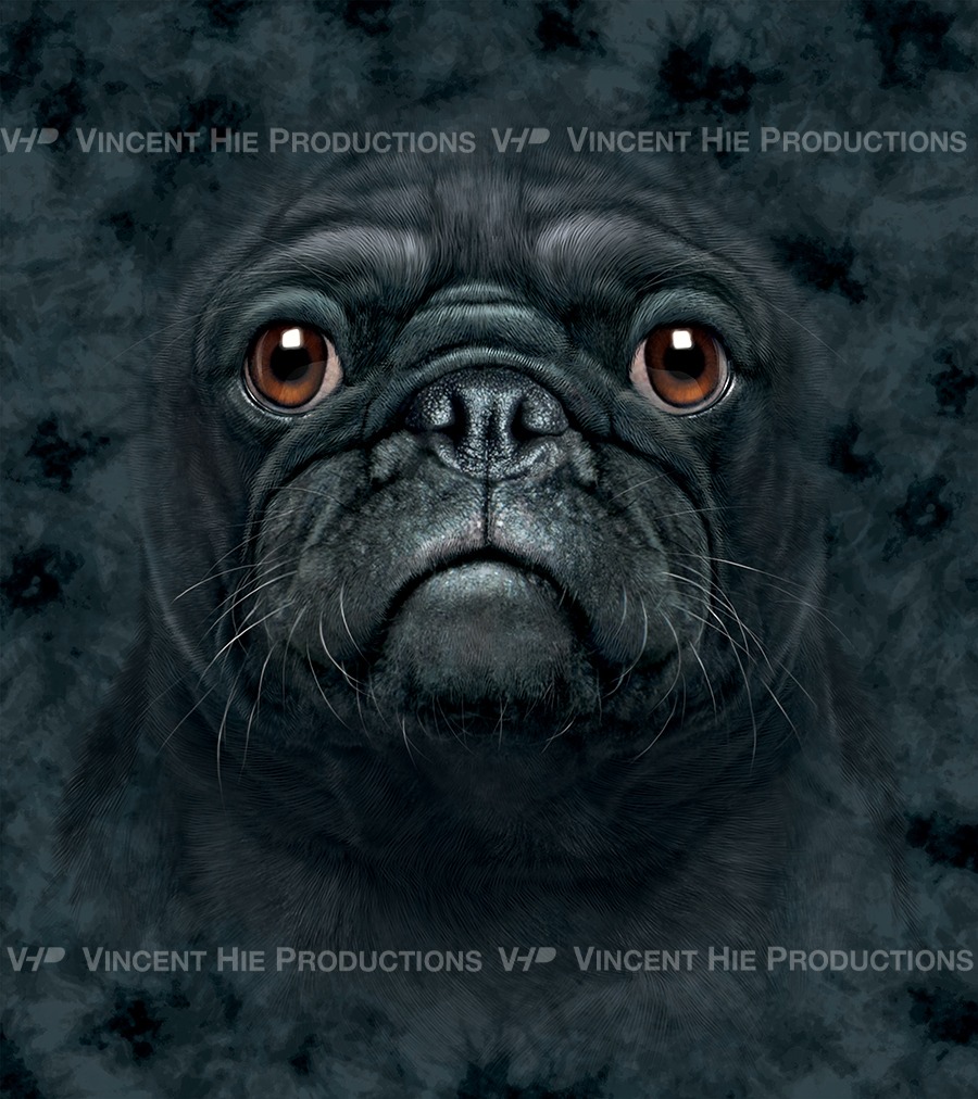Black Pug Big Face