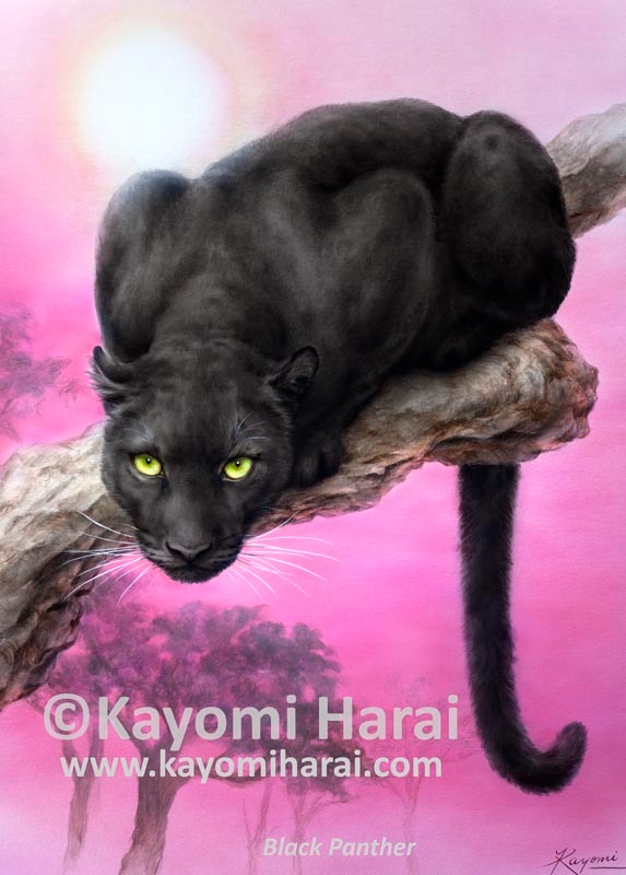 Black Panther