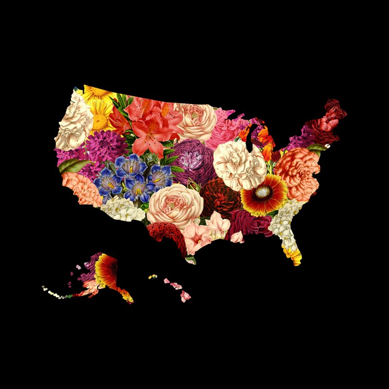 Blooming USA Map Flower