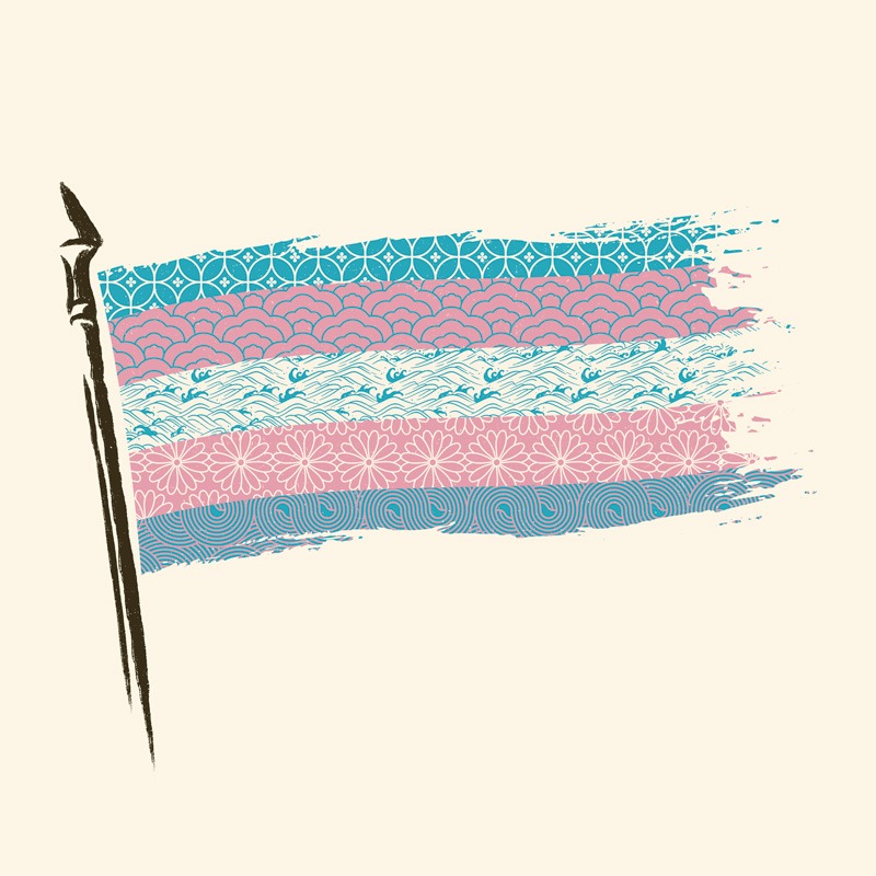 Blue Pink White Flag Trans Pride